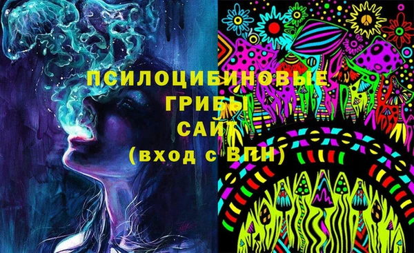 бошки Арсеньев