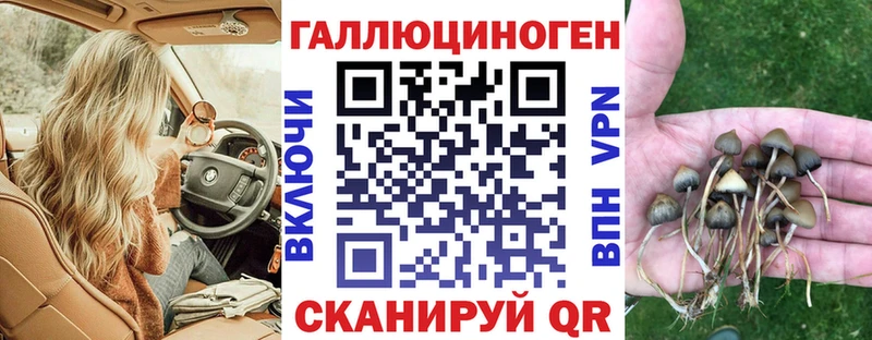 Галлюциногенные грибы GOLDEN TEACHER где продают наркотики Сарапул